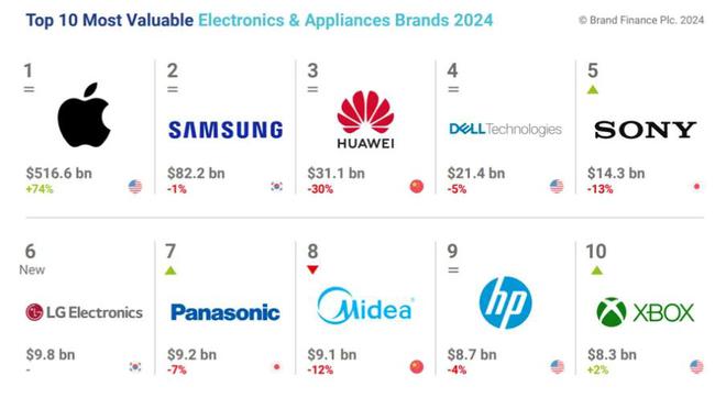 品牌国际排位揭晓！大疆第45传音第36龙8国际唯一网站2024中国电子家电(图3)