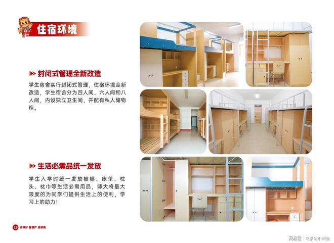 东专升本培训行业标杆师大教育专升本丨山