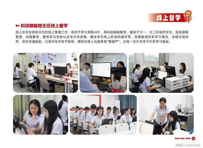东专升本培训行业标杆师大教育专升本丨山(图14)