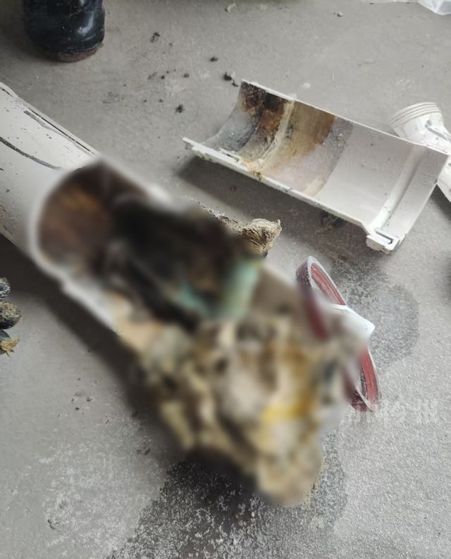 崩溃：全屋都是无法接受婚房被粪水浸泡！业主(图4)