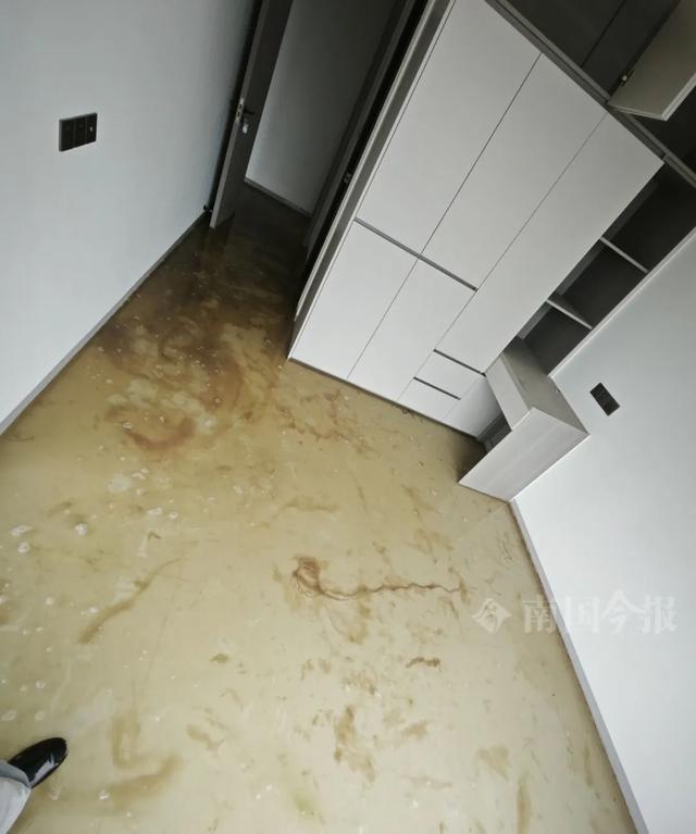 崩溃：全屋都是无法接受婚房被粪水浸泡！业主(图9)